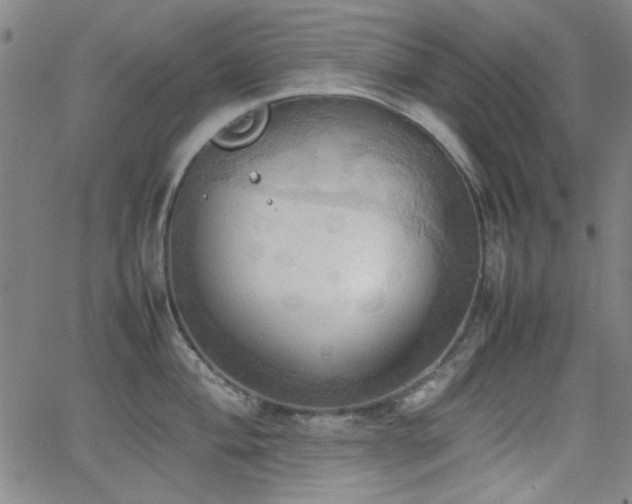 X0000064041004200601271157