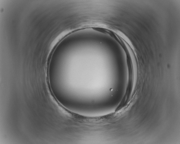 X0000064041005200601271157