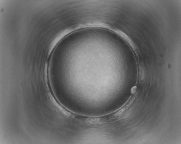 X0000064041006200601271157