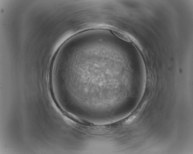 X0000064041007200601271157