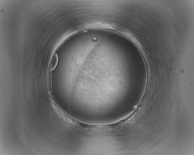 X0000064041008200601271157