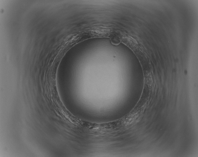 X0000064041009200601271156