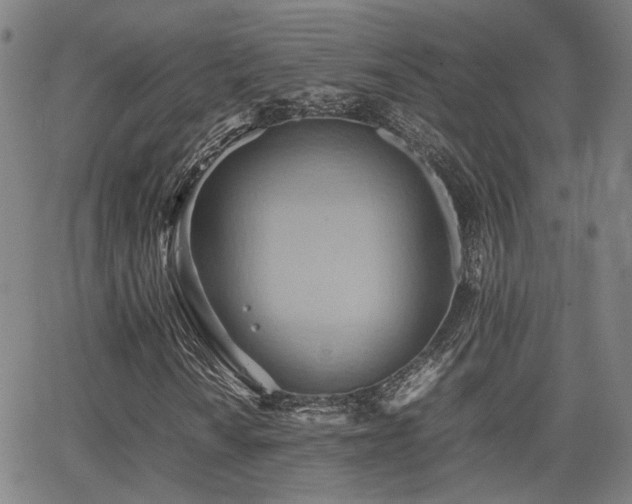 X0000064041010200601271156