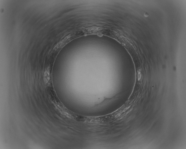 X0000064041011200601271156