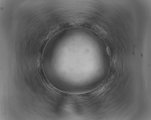 X0000064041012200601271156