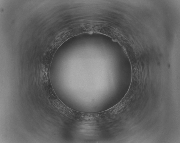 X0000064041013200601271156