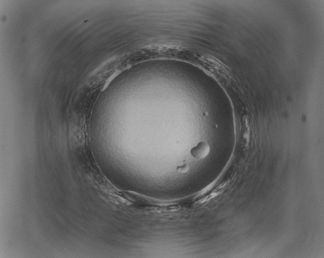 X0000064041014200601271156