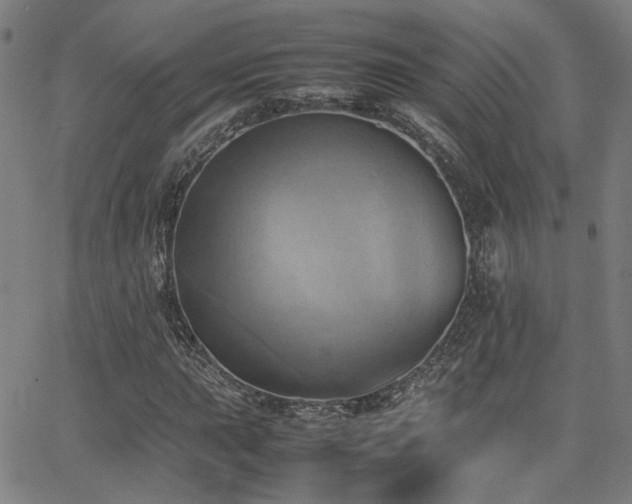 X0000064041015200601271156