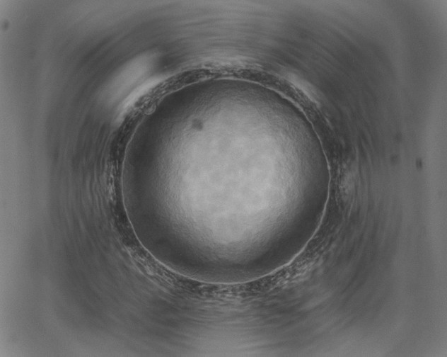 X0000064041016200601271157