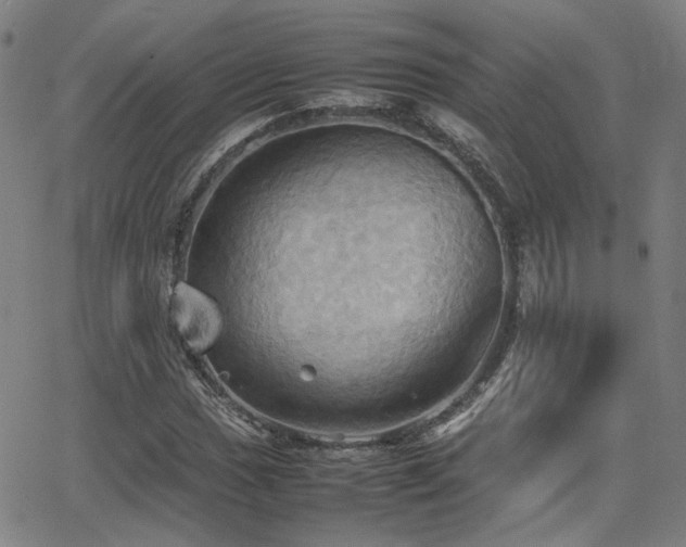 X0000064041017200601271157