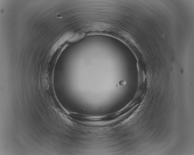 X0000064041018200601271157