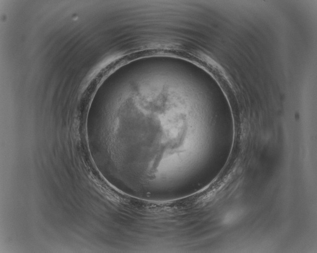 X0000064041019200601271157