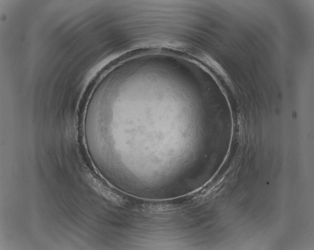 X0000064041020200601271157