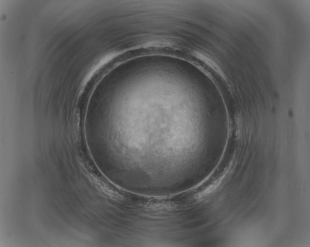 X0000064041021200601271157