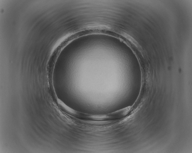 X0000064041022200601271157