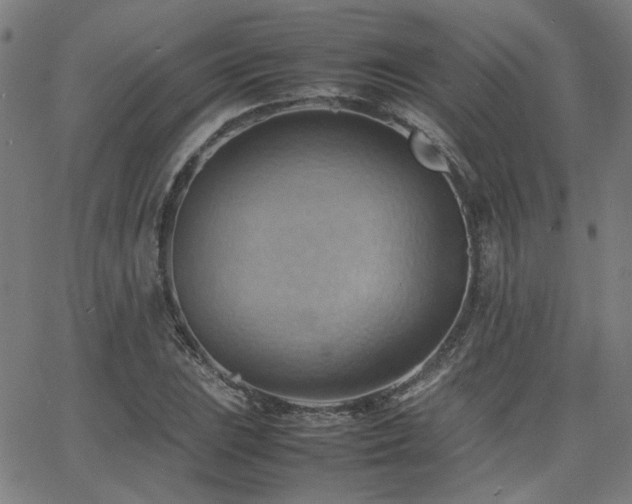 X0000064041023200601271157