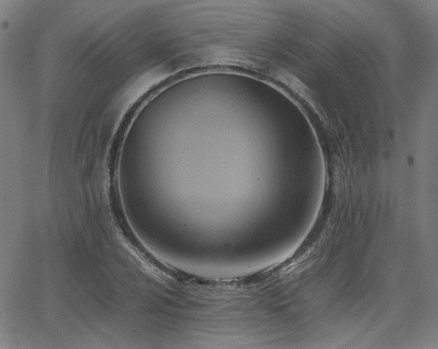 X0000064041024200601271157