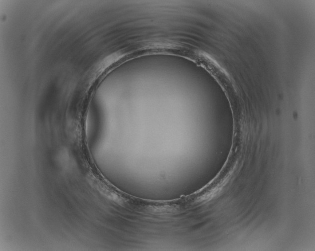 X0000064041025200601271157