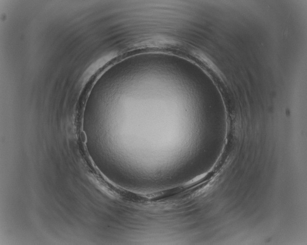 X0000064041026200601271157