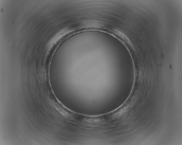 X0000064041027200601271157