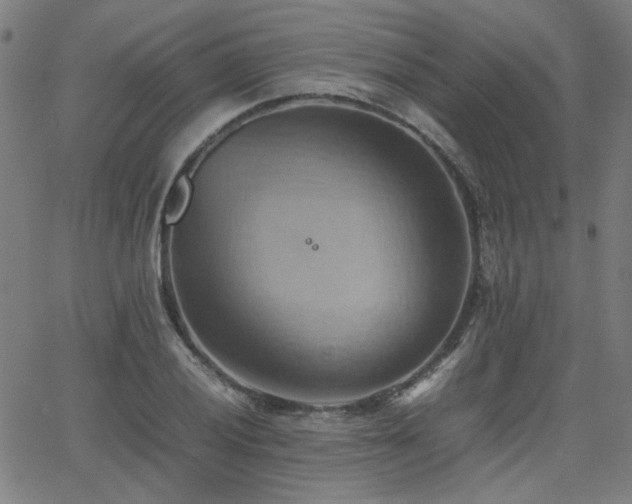 X0000064041028200601271157