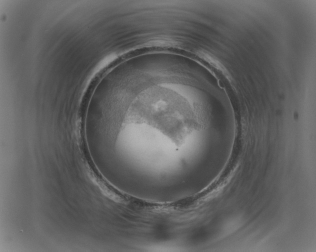 X0000064041029200601271157