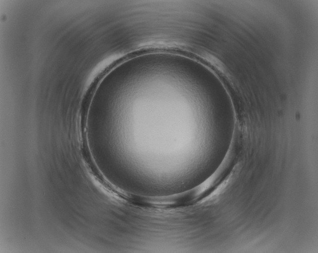 X0000064041030200601271157