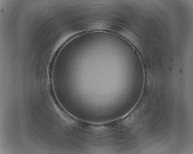 X0000064041031200601271157