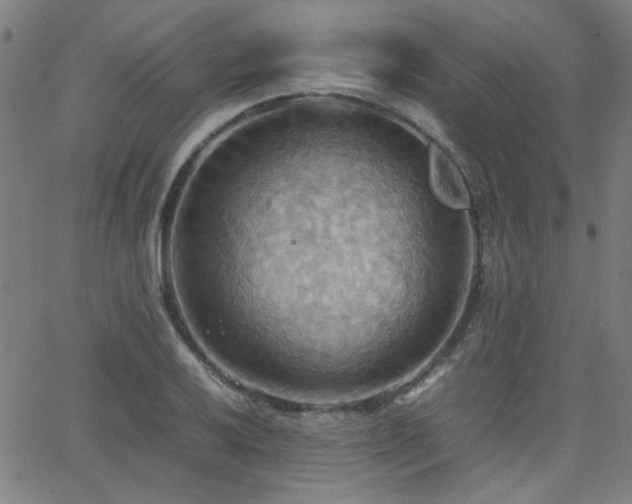 X0000064041032200601271157