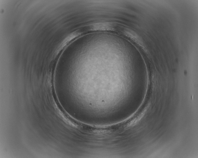 X0000064041033200601271157