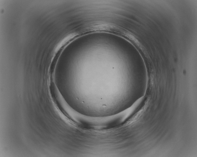 X0000064041034200601271157