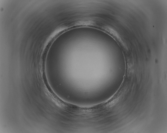 X0000064041035200601271157