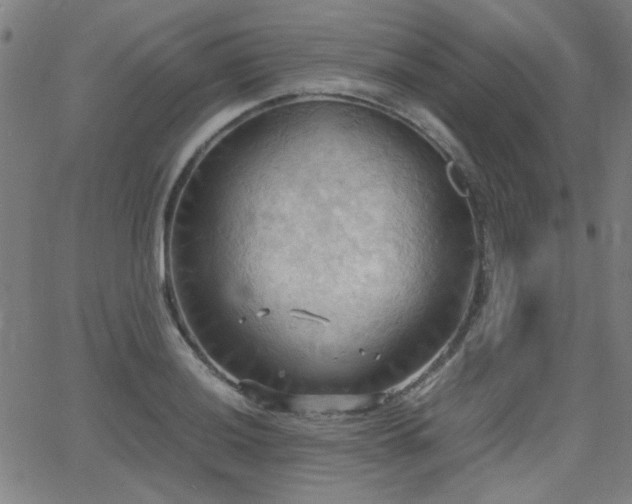 X0000064041036200601271157