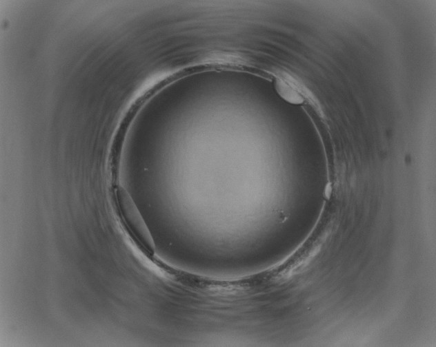 X0000064041037200601271157