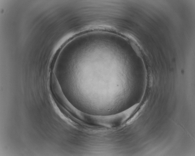 X0000064041038200601271157