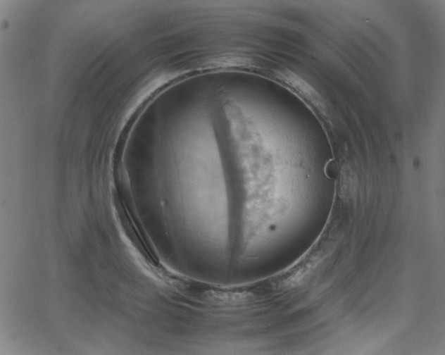 X0000064041039200601271157