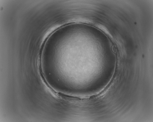 X0000064041040200601271157