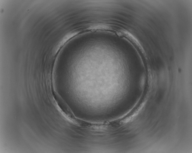 X0000064041041200601271157