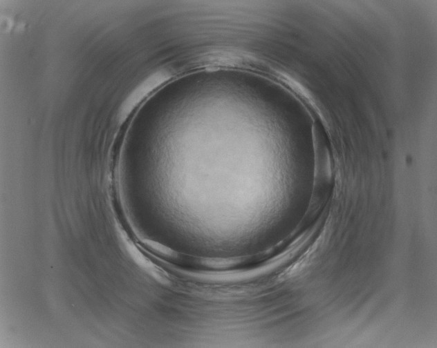 X0000064041042200601271157