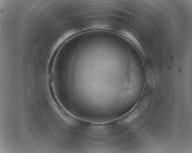 X0000064041043200601271157