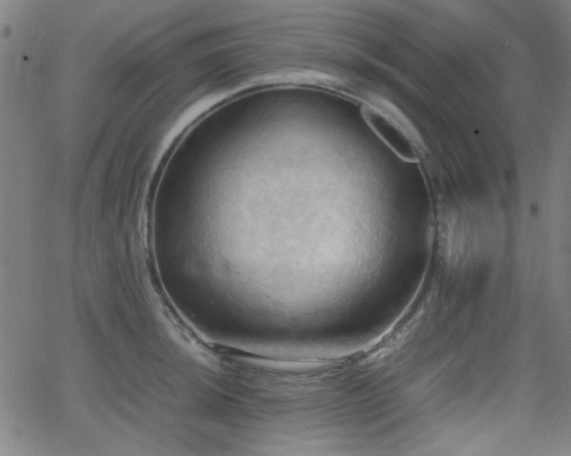 X0000064041044200601271157