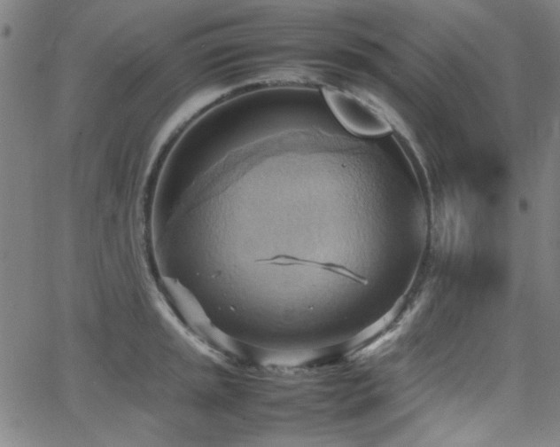 X0000064041045200601271157