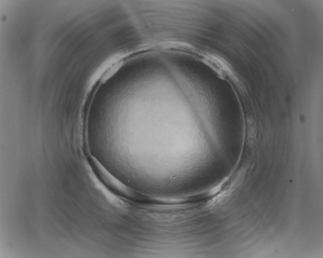 X0000064041046200601271157