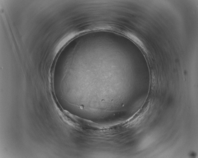 X0000064041047200601271157