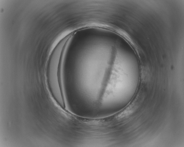 X0000064041048200601271157