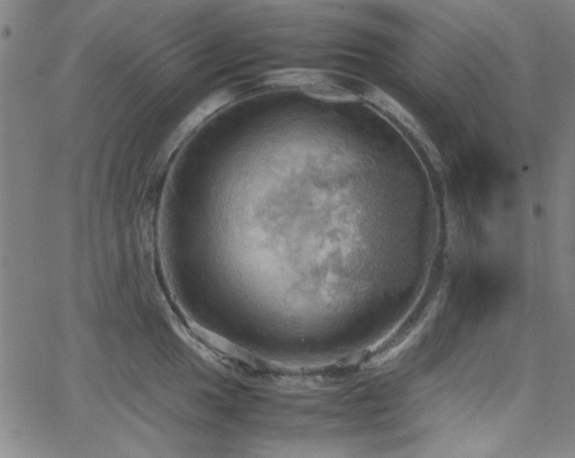 X0000064041049200601271157