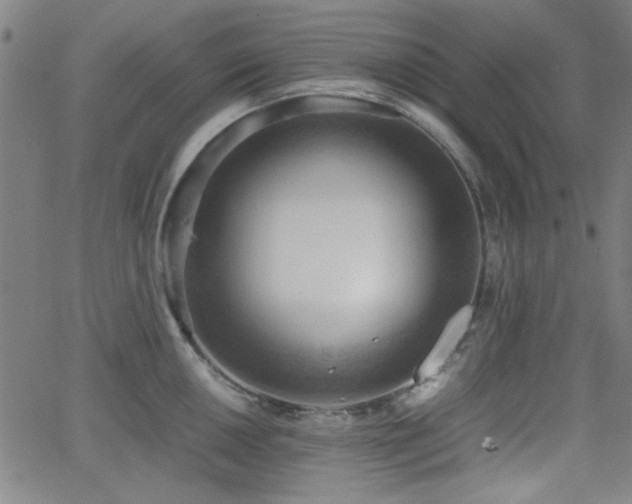 X0000064041050200601271157