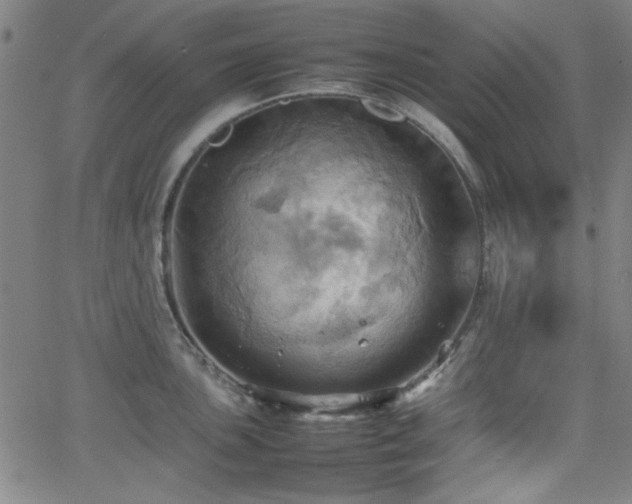 X0000064041051200601271157