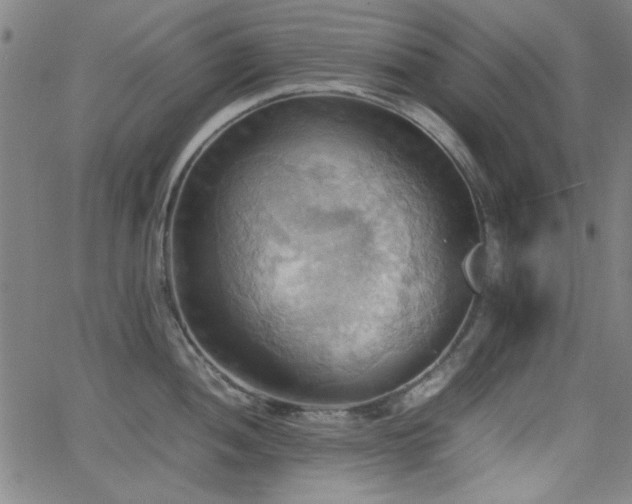 X0000064041052200601271157