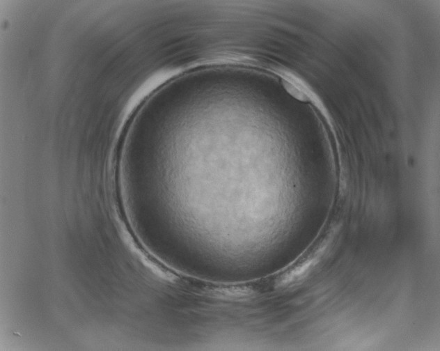 X0000064041053200601271157